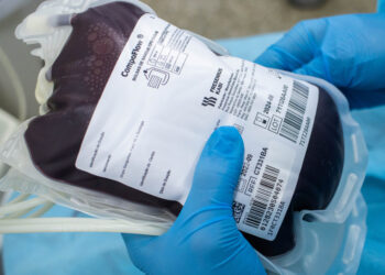 Hemose realizará coleta de sangue no shopping Jardins, de segunda a sexta-feira