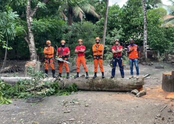 Defesa Civil de Laranjeiras realiza trabalho preventivo e minimiza impactos da chuva