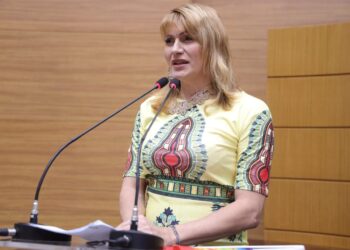 Deputada Linda Brasil pede mais investimentos em Saúde e Educação