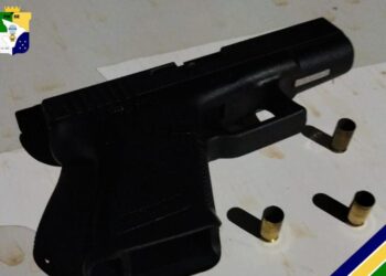PM prende homem por dirigir sob efeito de álcool e por porte ilegal de arma de fogo em Frei Paulo