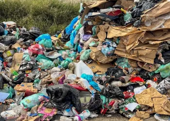 Nova plataforma brasileira permite rastrear a reutilização de plástico