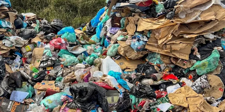 Nova plataforma brasileira permite rastrear a reutilização de plástico