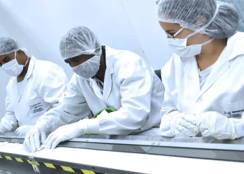 Produção científica cai 7% em 2023 e volta ao patamar pré-pandemia