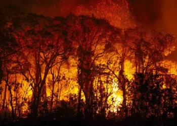 Pantanal: como seca, mudanças climáticas e devastação da Amazônia ameaçam esse bioma brasileiro