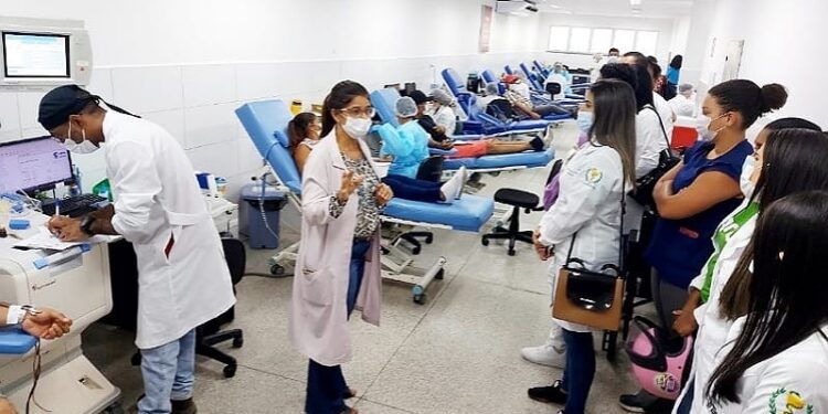 Hemose faz balanço e registra 14.056 doações de sangue no primeiro semestre