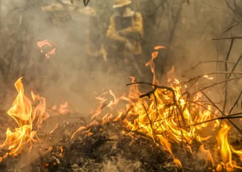 Governo destina R$ 137,6 milhões para combate a queimadas no Pantanal