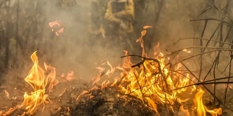 Governo destina R$ 137,6 milhões para combate a queimadas no Pantanal