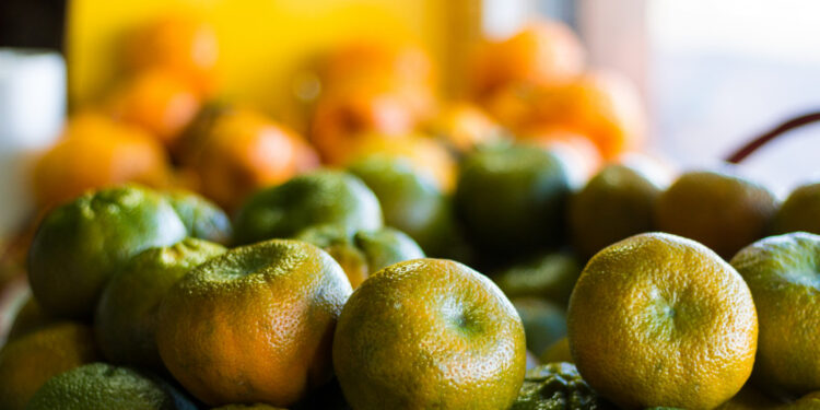 Inscrições para o Mão Amiga Laranja estarão abertas a partir do dia 31