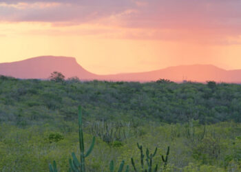 Grota do Angico e Mata do Junco recebem campanha ‘Um Dia no Parque’ neste domingo, 21