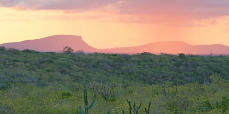 Grota do Angico e Mata do Junco recebem campanha ‘Um Dia no Parque’ neste domingo, 21