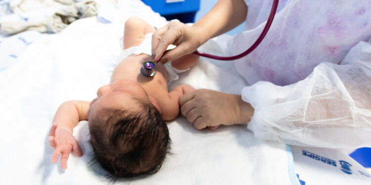 Maternidade Nossa Senhora de Lourdes registra 2.443 partos no primeiro semestre 