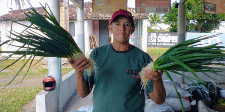 Entrega simultânea de alimentos da irrigação pública em Lagarto tem incentivo do Governo do Estado