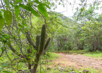 Sergipe fica livre de seca pelo segundo mês consecutivo