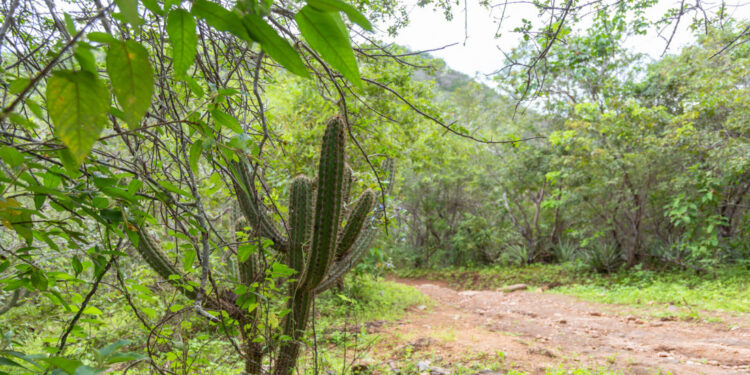 Sergipe fica livre de seca pelo segundo mês consecutivo