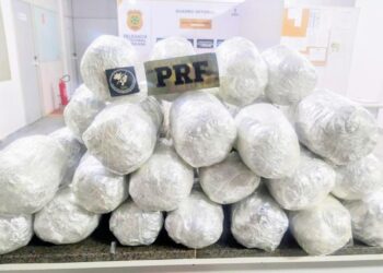 Homem é preso com 21 kg de drogas em ônibus interestadual