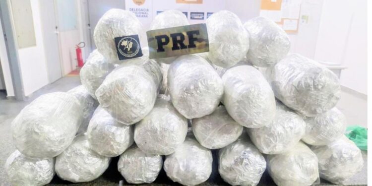 Homem é preso com 21 kg de drogas em ônibus interestadual