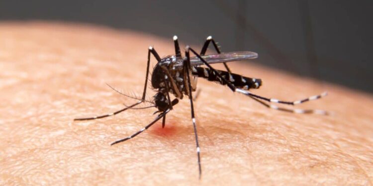 Vacina do Butantan contra dengue demonstra proteção de quase 90% contra casos graves