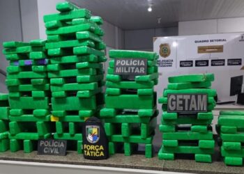 Operação conjunta apreende mais de 130 tabletes de maconha na região agreste de Sergipe