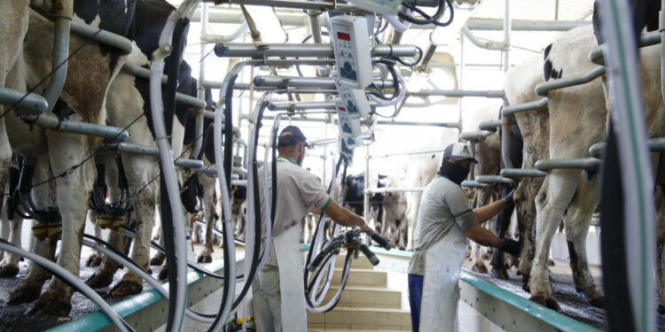 Sergipe mantém alta na aquisição e beneficiamento do leite