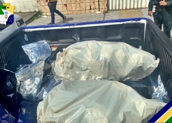 Polícia Militar de Sergipe apreende 38 Kg de maconha avaliada em R$ 500 mil