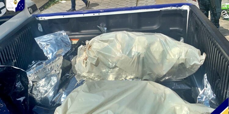 Polícia Militar de Sergipe apreende 38 Kg de maconha avaliada em R$ 500 mil