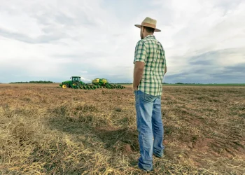 Pedidos de recuperação judicial no agronegócio cresceram mais de 500% no primeiro trimestre de 2024