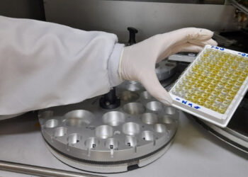 Sergipe continua monitorando casos de contaminação pelos vírus oropouche e mpox