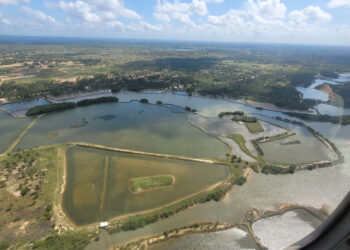 Adema e GTA monitoram áreas de carcinicultura no baixo São Francisco