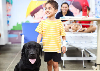 Terapia com cães auxilia no tratamento dos pequenos pacientes no Hospital da Criança