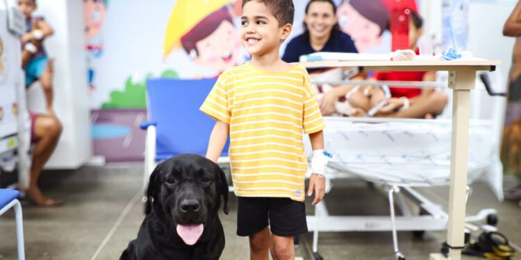 Terapia com cães auxilia no tratamento dos pequenos pacientes no Hospital da Criança