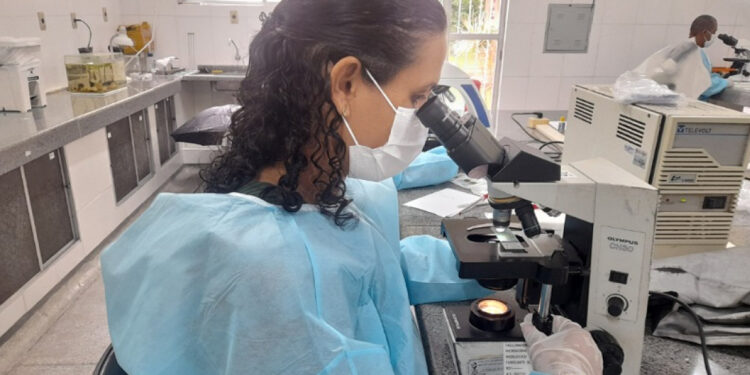 Lacen registra 2.199 testes para controle de qualidade de agravos em saúde em 7 meses