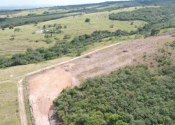 Fiscalização constata retirada irregular de vegetação em Itabaiana