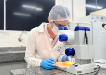 ITPS alerta sobre os riscos de corpos estranhos em alimentos; muitos apresentam risco de contaminação