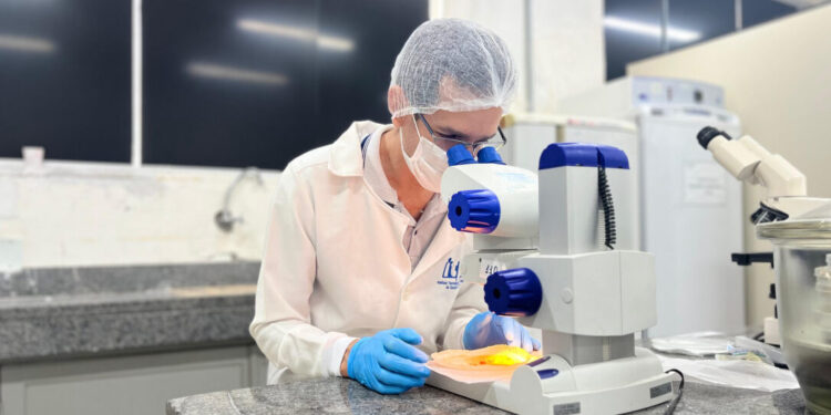 ITPS alerta sobre os riscos de corpos estranhos em alimentos; muitos apresentam risco de contaminação