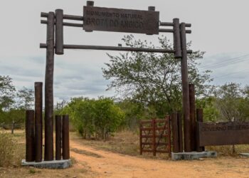 Monumento Natural Grota do Angico abriga tesouro cultural e ambiental