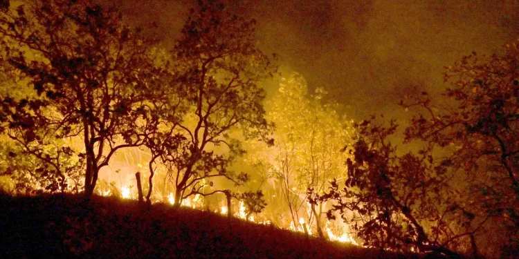 Brasil já registrou mais de 154 mil focos de calor neste ano, revela Inpe