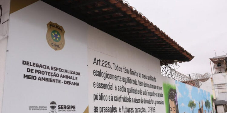 Polícia Civil indicia por maus-tratos, omissão de cautela e exposição a risco tutor da jiboia resgatada após cair do oitavo andar de prédio em Aracaju