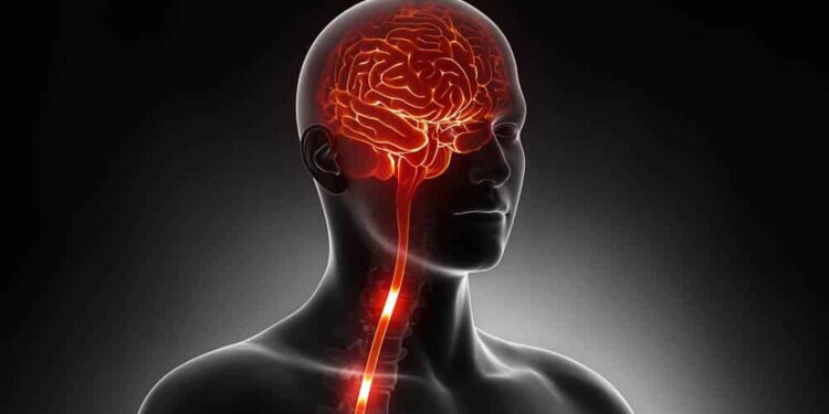 Estudo identifica mais de 50 mutações associadas à esclerose lateral amiotrófica