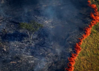 Sob governo Lula, incêndios no Pantanal e na Amazônia são os piores em quase 20 anos