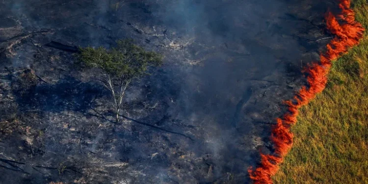 Sob governo Lula, incêndios no Pantanal e na Amazônia são os piores em quase 20 anos