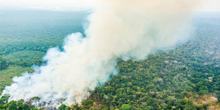 Governo federal destina mais de R$ 500 milhões extras para combate a incêndios e seca