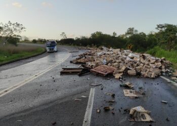 Caminhão carregado de bebidas tomba na BR-235