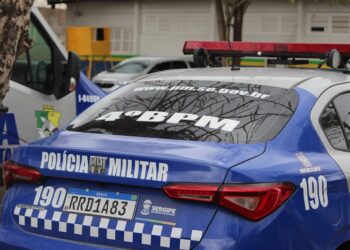 homem é preso após tentar enforcar a companheira com golpe conhecido como “Mata-Leão” em Porto da Folha
