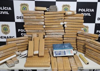 Operação do Denarc apreende 82kg de maconha avaliados em R$ 180 mil em Aracaju