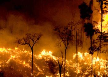 Em torno de 15,4 milhões de brasileiros foram afetados pelas queimadas em todo o país, afirma CNM