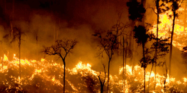 Em torno de 15,4 milhões de brasileiros foram afetados pelas queimadas em todo o país, afirma CNM