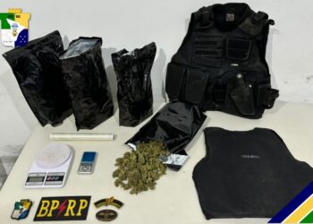 PMSE apreende 1,6 kg de maconha no Bugio