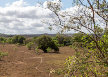 Seca de intensidade fraca avançou pelos territórios sergipanos