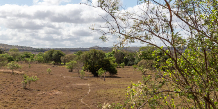 Seca de intensidade fraca avançou pelos territórios sergipanos