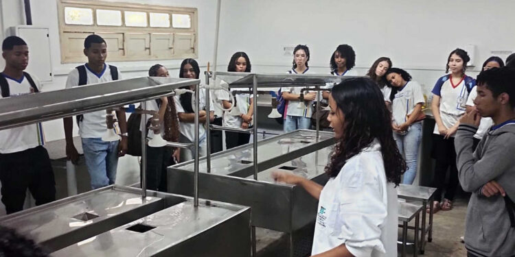 Alunos da rede estadual iniciam cursos técnicos em Agroindústria e Aquicultura no IFS